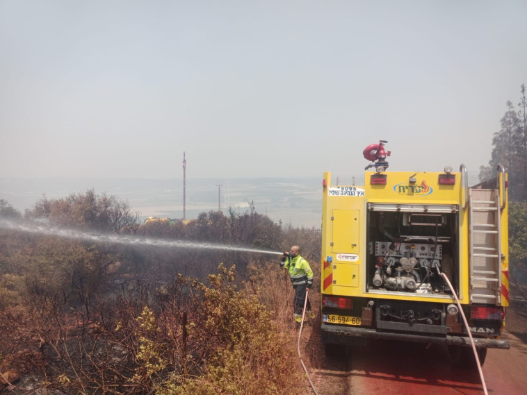זירת השריפה ביער בנימינה