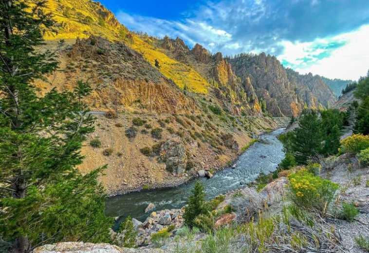 Ashley National Forest, Utah