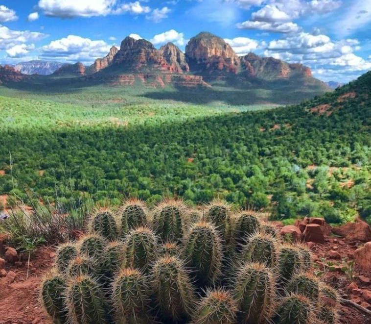 Sedona, Arizona (צילום: צילום מסך אינסטגרם)
