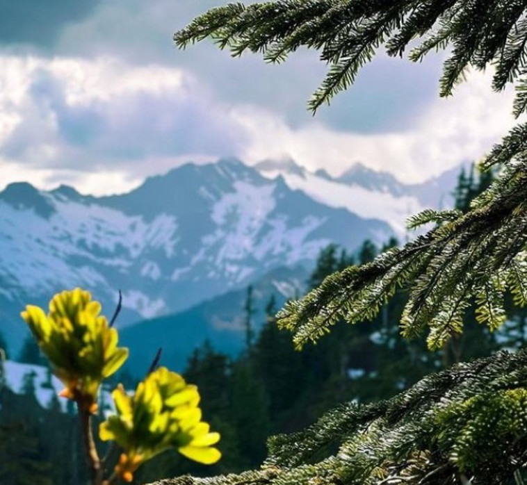Snoqualmie National Forest, Washington (צילום: צילום מסך אינסטגרם)