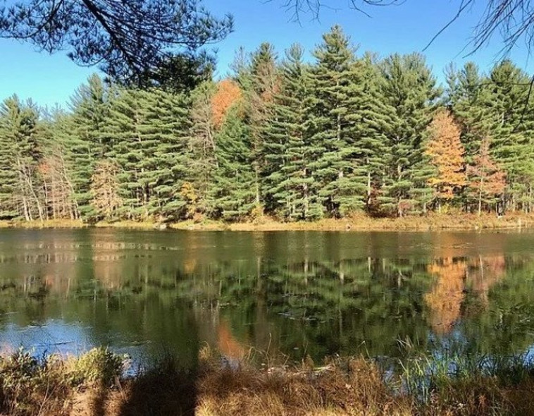 wendell state forest, Massachusetts (צילום: צילום מסך אינסטגרם)