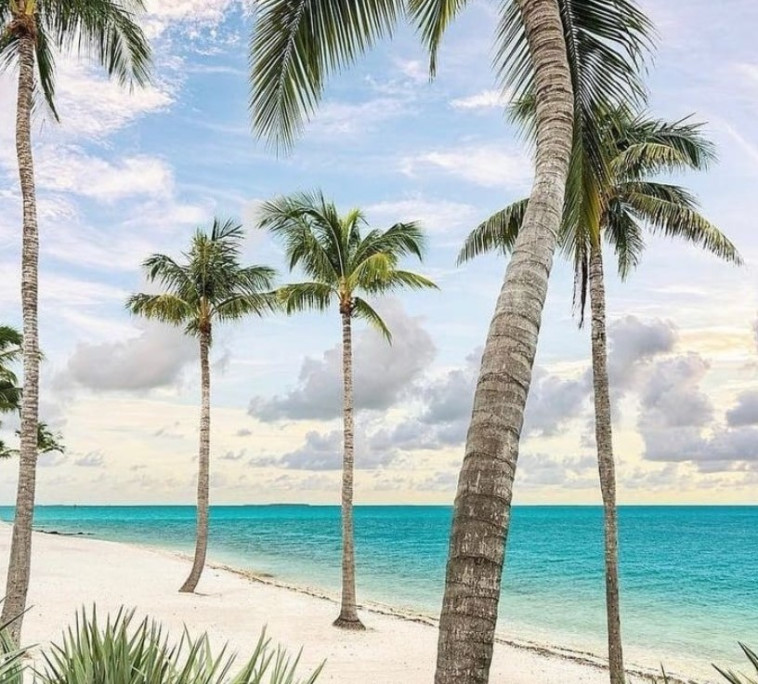 Key West, Florida (צילום: צילום מסך אינסטגרם)