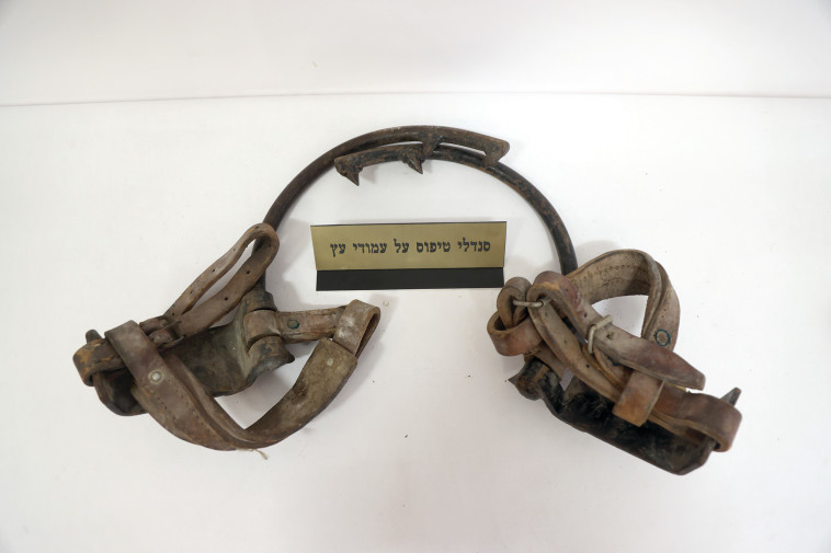 סנדלי טיפוס על עמודי עץ, ששימשו את עובדי הרשת