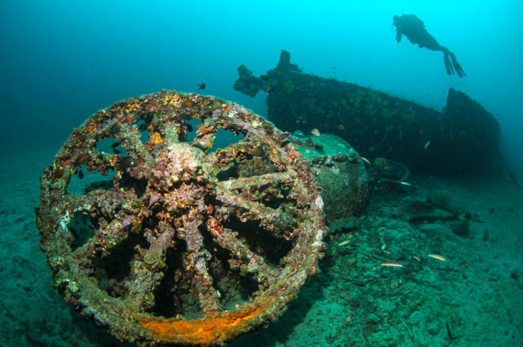 Gelibolu Tarih&icirc; Su Altı Parkı