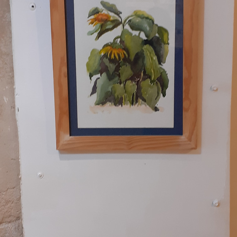 תערוכת החמניות של קמילה 