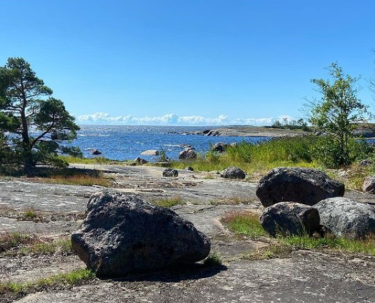 האי Ulko-Tammio, פינלנד (צילום: צילום מסך אינסטגרם)