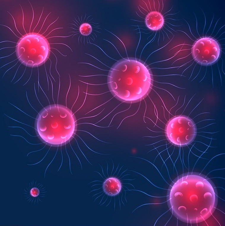 חיידקים, אילוסטרציה (צילום: אינגאימג')