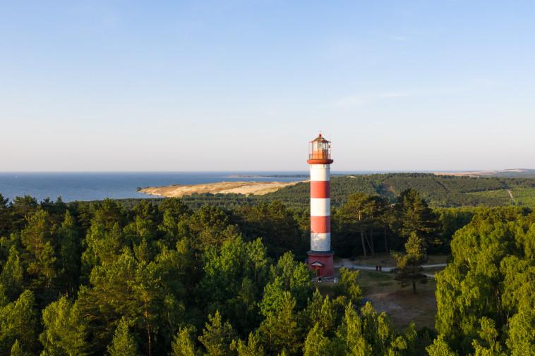 הרצועה הקורונית, ליטא