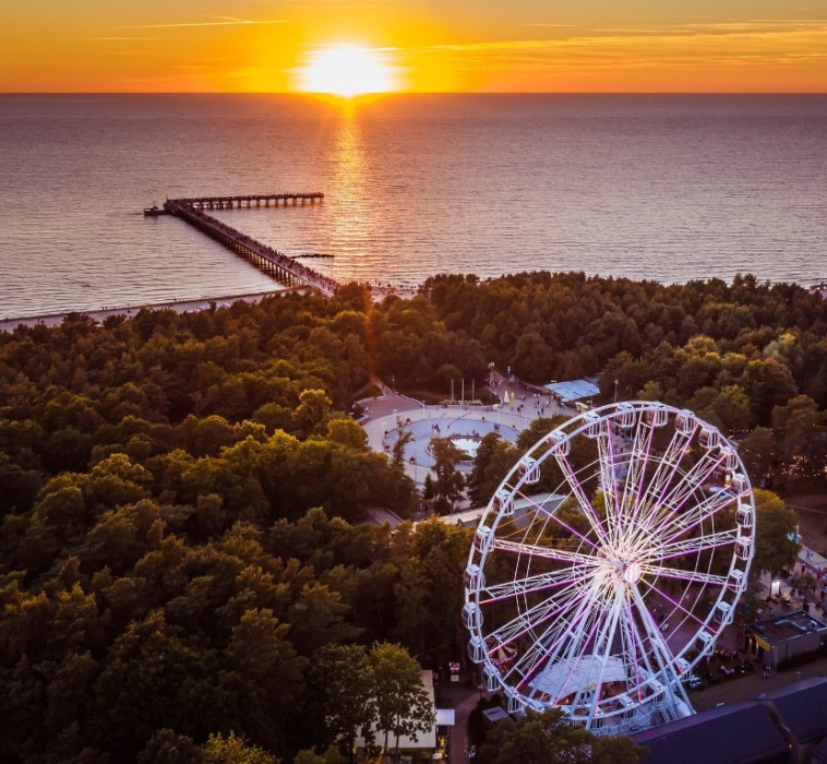 פלאנגה, ליטא