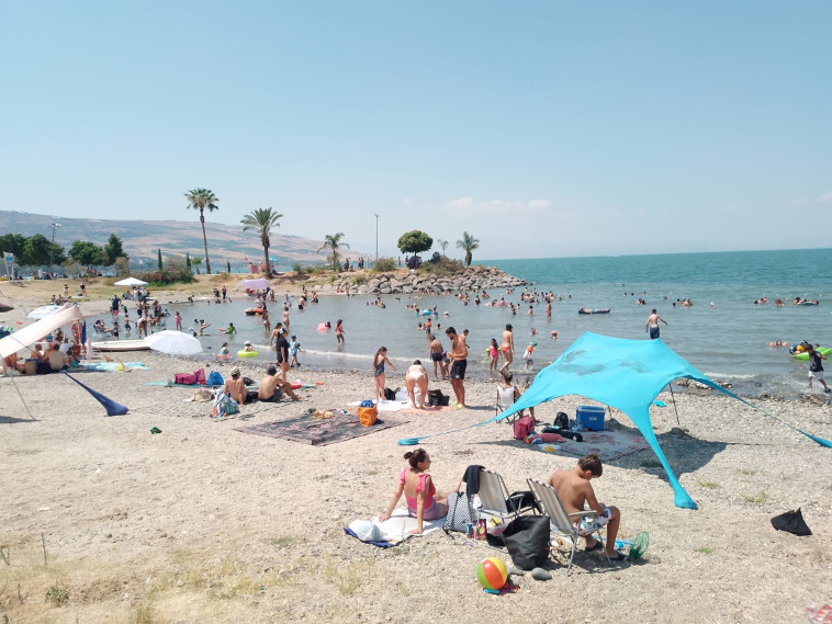 מתרחצים בכנרת