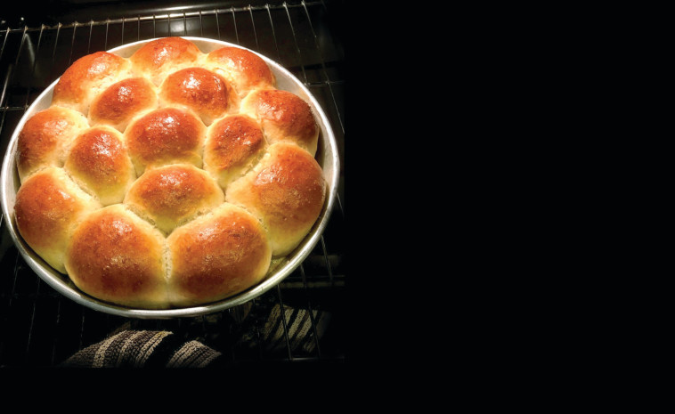 לחמניות מחוברות 