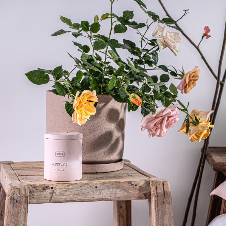 זיהו מחסור אמיתי בשוק הטקסטיל &ndash; cotton club