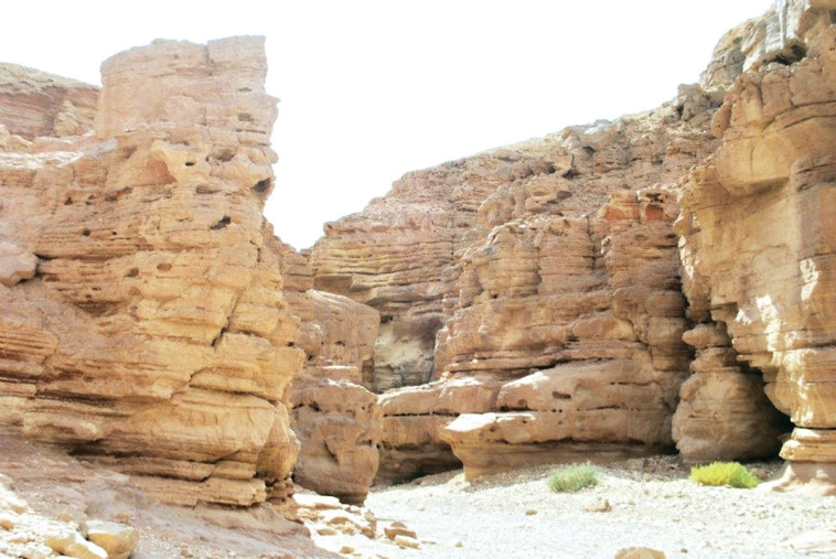 הקניון האדום