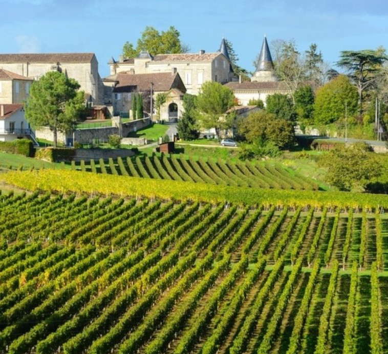 כרמי היין של בורדו, צרפת (צילום: צילום מסך אינסטגרם)