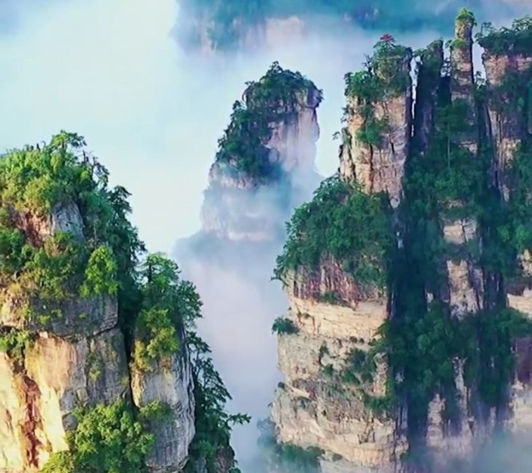 פארק היער הלאומי ז'אנגג'יאג'יה, סין (צילום: צילום מסך אינסטגרם)