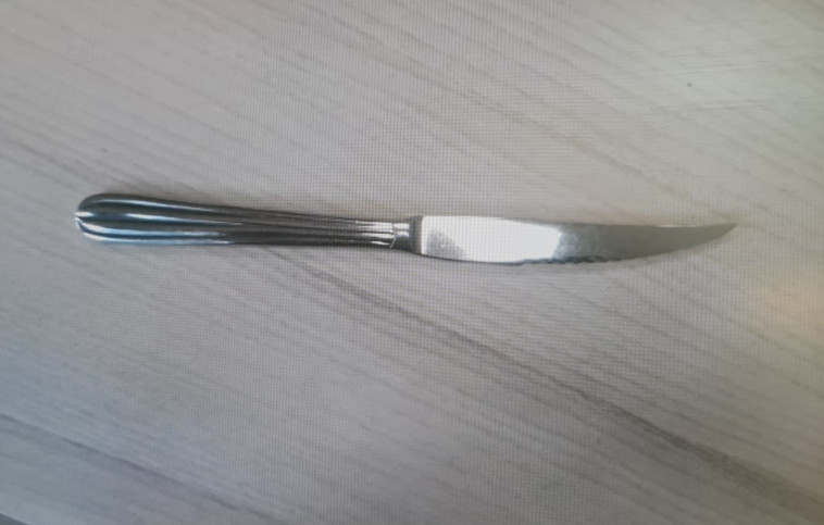 הסכין שבה השתמש החשוד  (צילום: דוברות המשטרה)