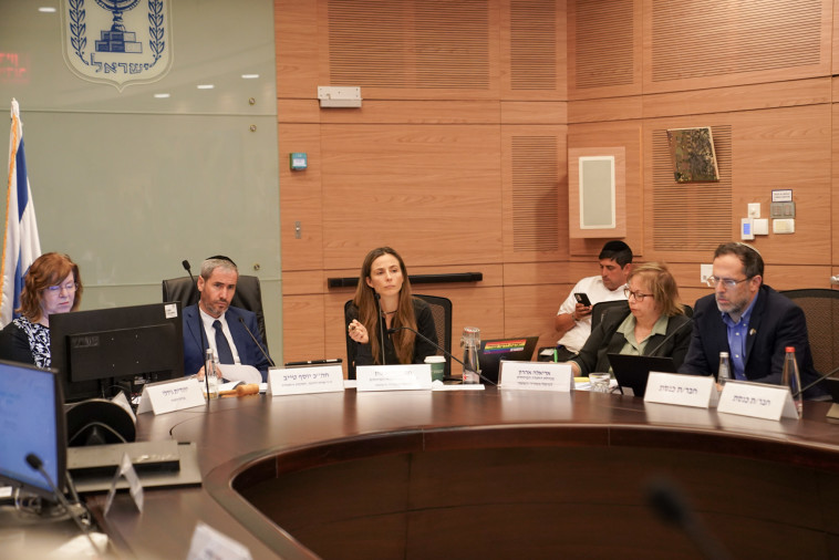 מתוך הדיון משותף עם הוועדה המיוחדת לטיפול בשורדי השואה