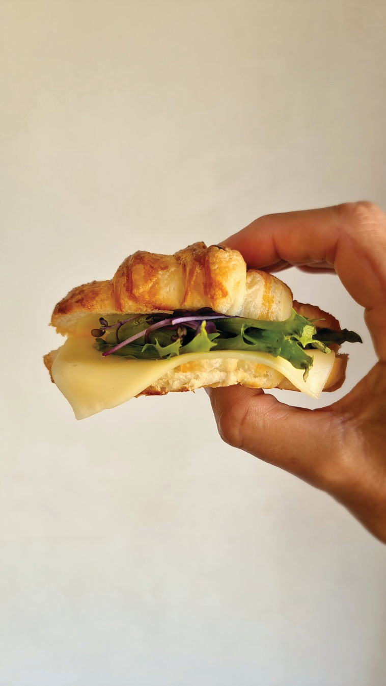 אנילביץ' קרואסון 