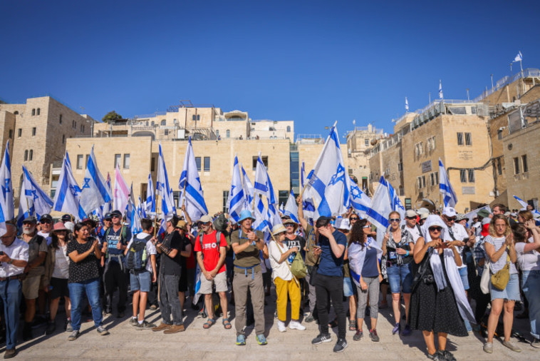מפגינים נגד הרפורמה בירושלים (צילום: חיים גולדברג, פלאש 90)