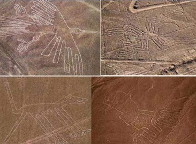 קווי נסקה, פרו