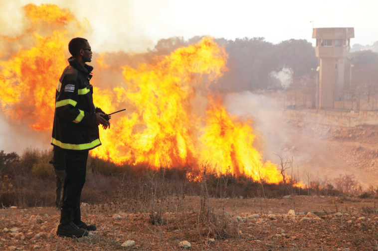 אסון הכרמל (צילום: אלכס רוזקובסקי)