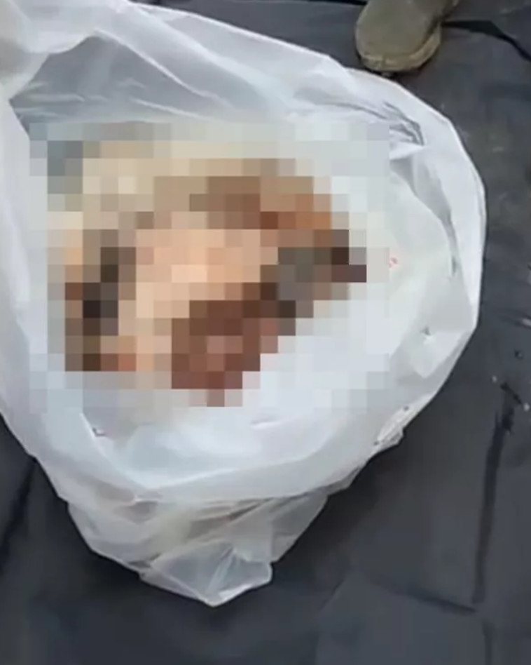 שרידי הקורבן שהוצאו מבטנו של התנין