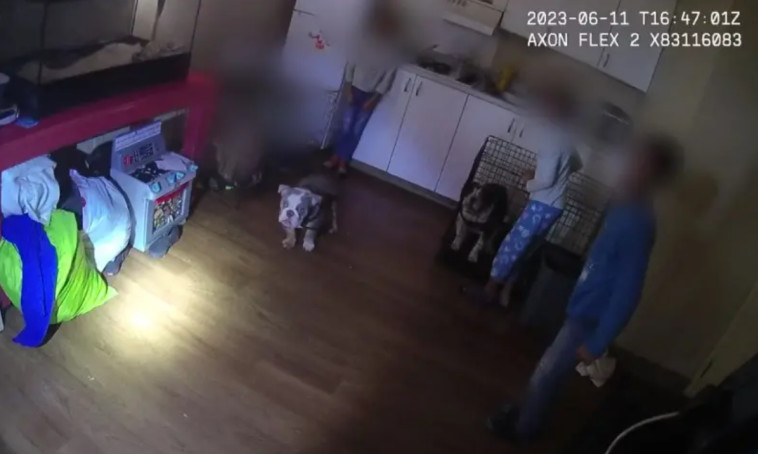 הילדים היו מורעבים ומפוחדים, התיעוד ממצלמות הגוף של השוטרים