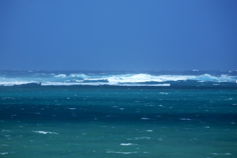 מחקרים מצאו כי הסיבה לכך היא מעשה ידי אדם