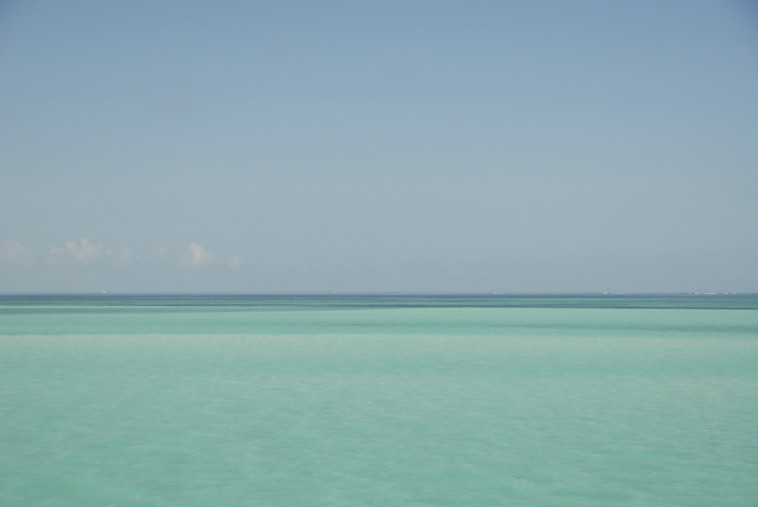 החוקרים ניתחו את מדידות צבע האוקיינוסים