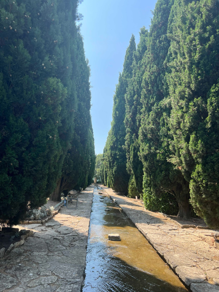 הגן הבוטני בבלצ'יק