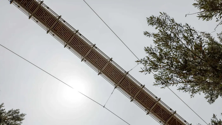 הגשר התלוי הארוך בישראל