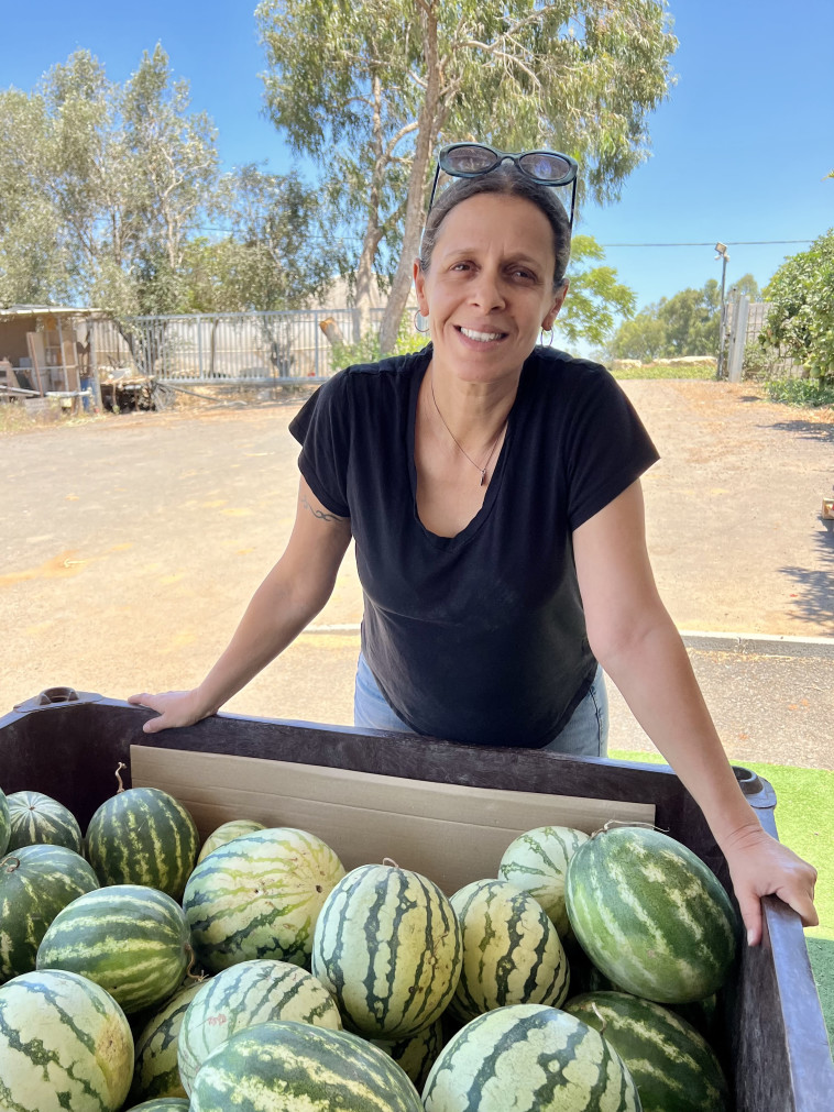 דנה שטיין, משק שדה ירוק