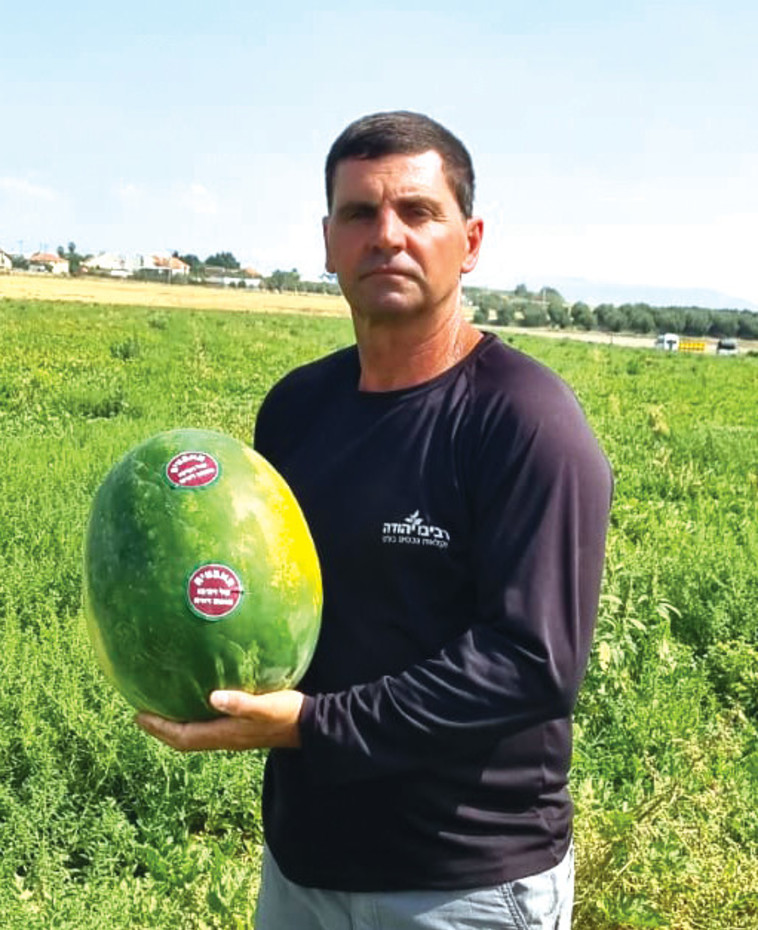 שרלי רביבו, משק רביבו יהודה חקלאות ונכסים
