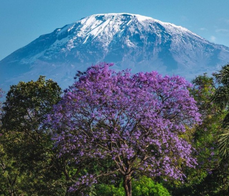 הר הקילימנג'רו, טנזניה