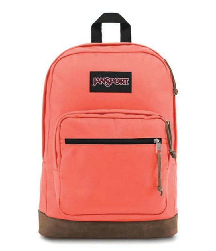 תיק ג'אנספורט