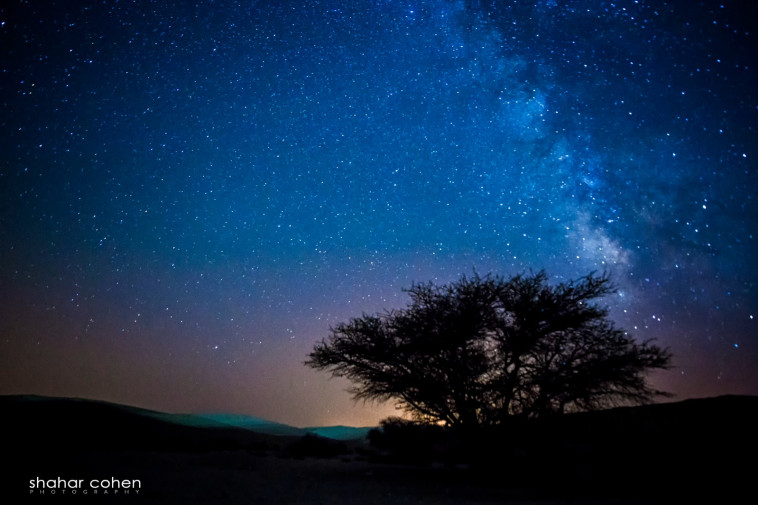 מטר המטאורים ביער מצפה רמון