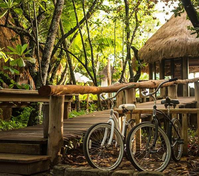 טיול אופניים באיי סיישל (צילום: יח''צ ספיריט)