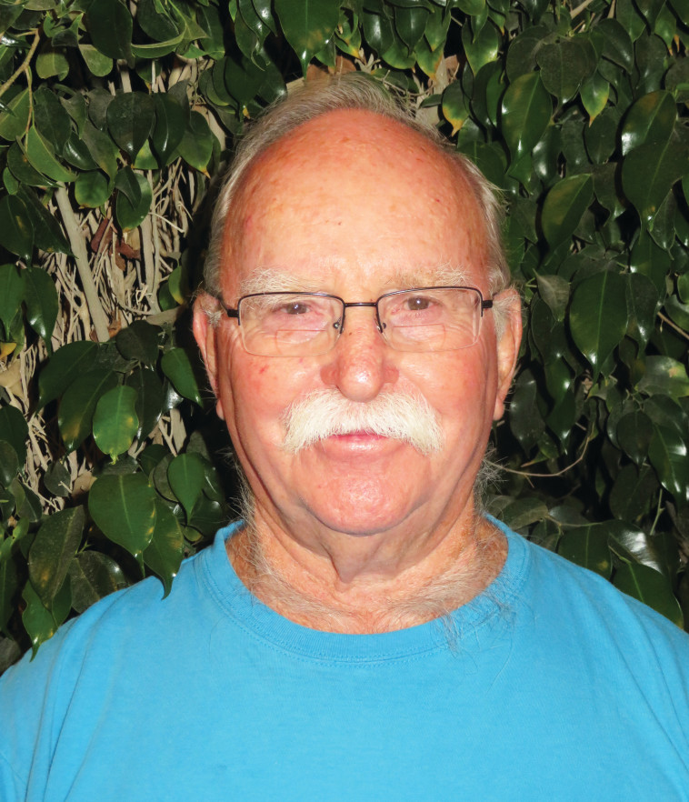 אמנון גרינברג