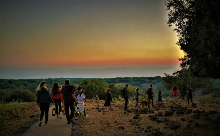 בשביל היער טיול עששיות ביער אודם 