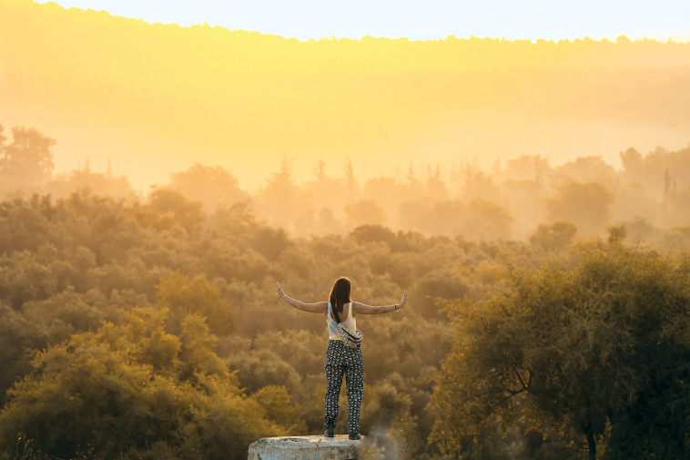 פסטיבל לילות קיץ בחבל מודיעין