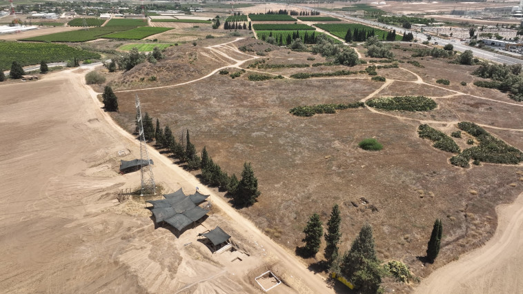 שטח האתר תל ערני (צילום: אמיל אלג'ם, רשות העתיקות)
