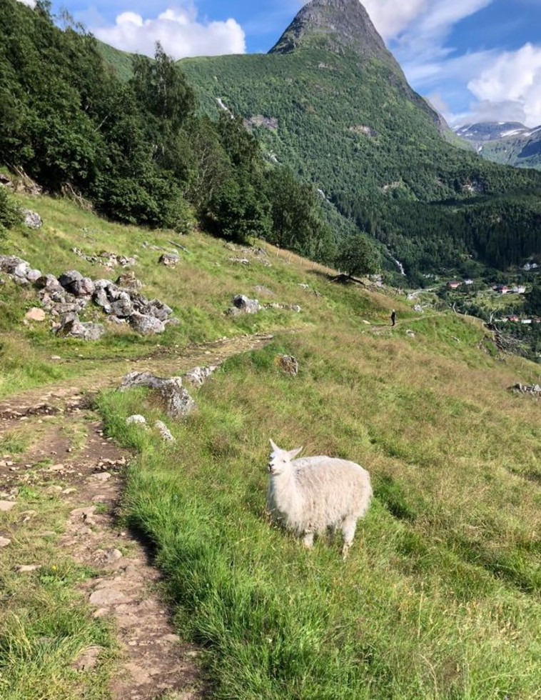 המסלול לתצפית לוסטה