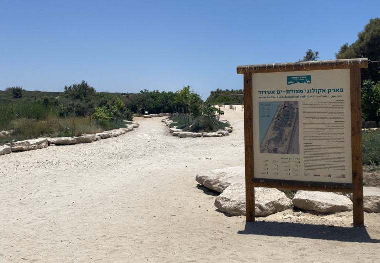 פארק אקולוגי מצודת ים אשדוד (צילום: מיטל שרעבי)