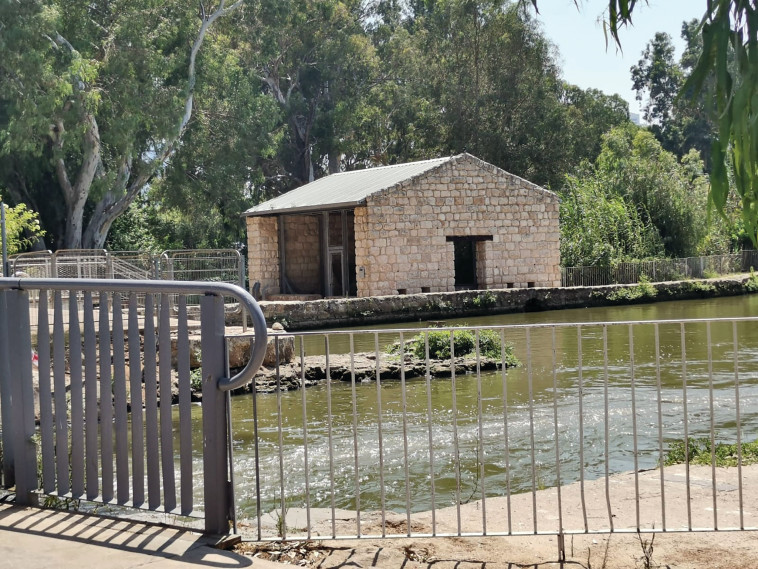 ראש ציפור פארק הירקון