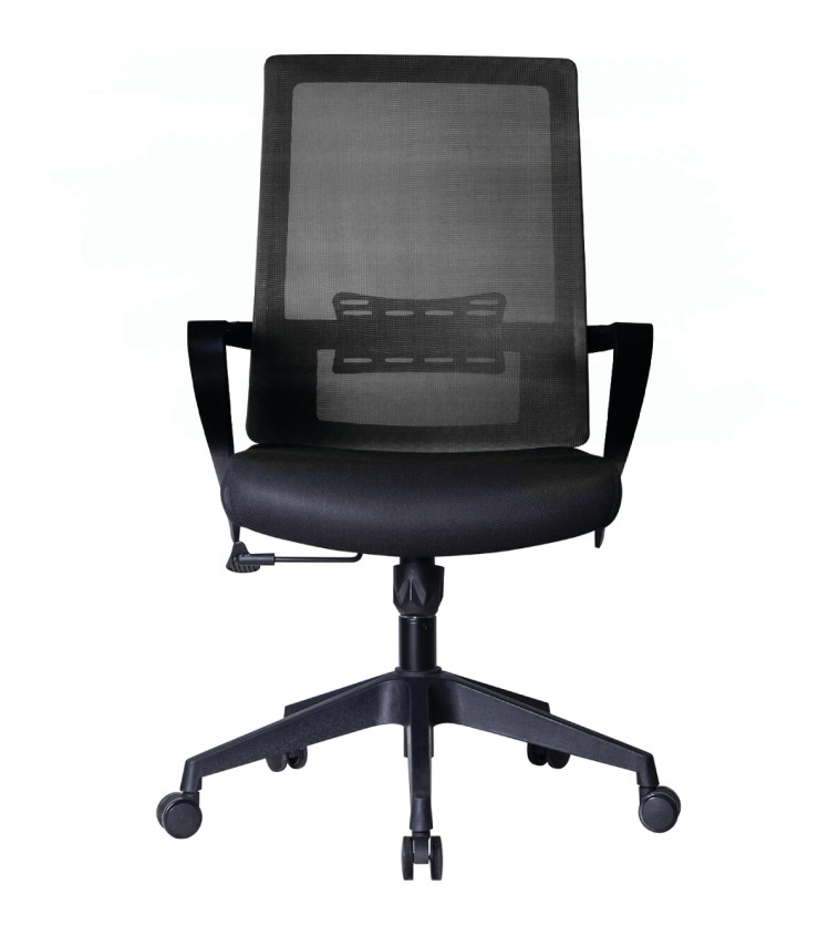 דגם Cleartech, קרביץ