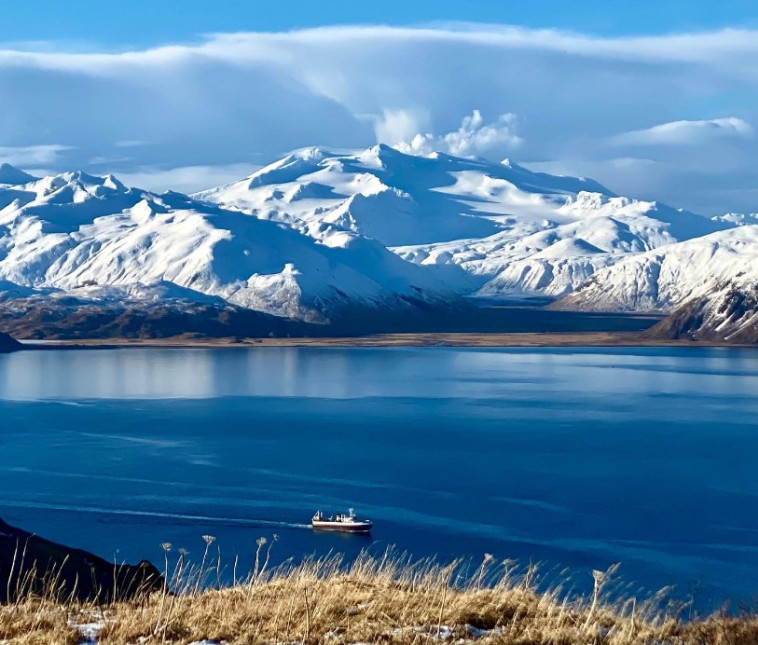 האיים האלאוטיים&nbsp;