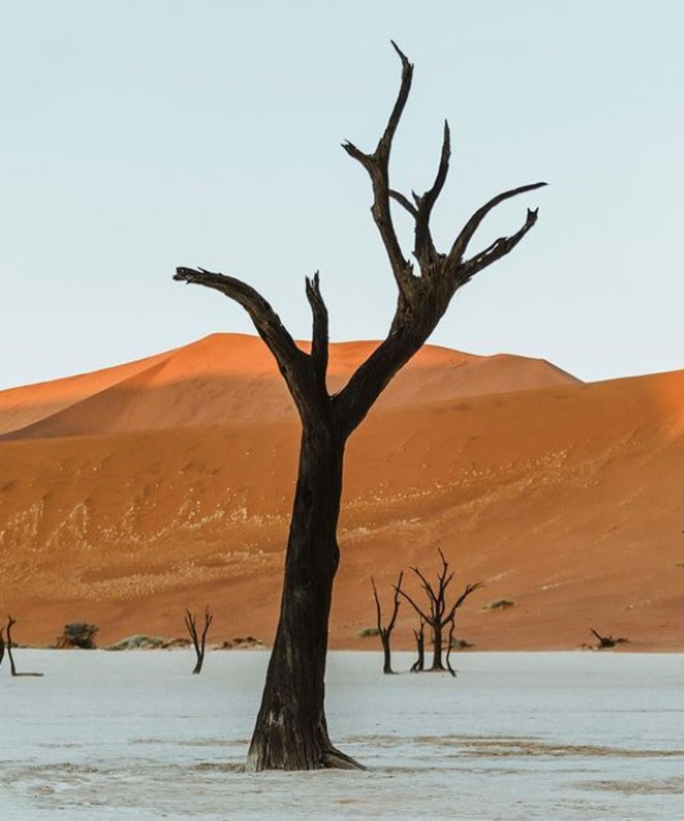 מדבר נמיב&nbsp;