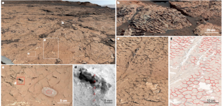 הסדקים שתועדו על כוכב הלכת מאדים (צילום: נאס''א)