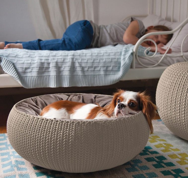 איזה פינוק. מיטת כרבול COZY של כתר לחיות מחמד