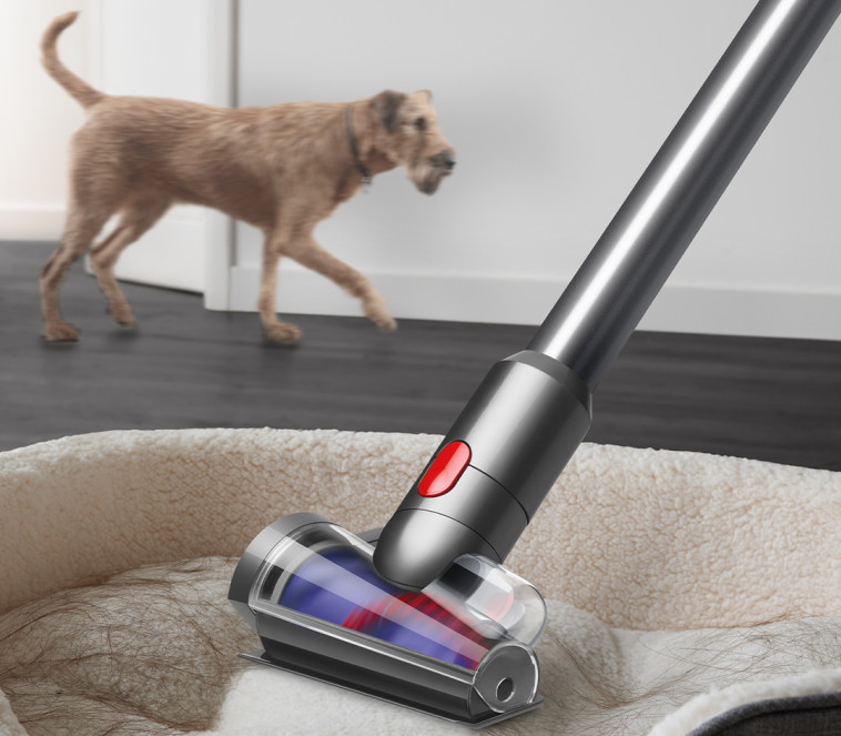 מישהו צריך לנקות אחריהם